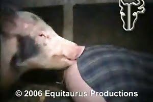ogród zoologiczny, kurwa,porno z psami,dziewczyna ze zwierzęcym seksem