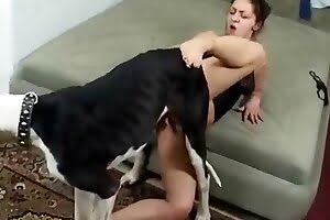 sex v zoo