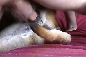 seks z psem, domowe zoo porno, zoofilia porno,seks ze zwierzętami, bestiaporno,kanał ze zwierzęcym porno, zwierzęcy kanał z seksem, kanał porno
